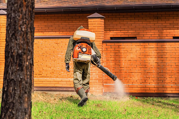 Bed Bug Clearance Verification and Documentation in Harlem